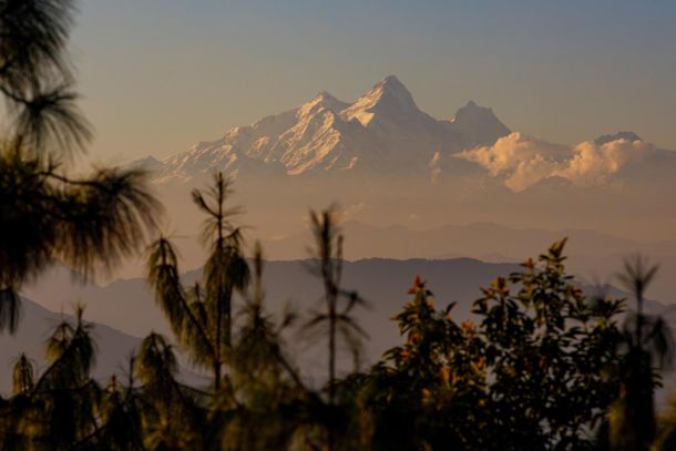 forest-walk-view-resort-at-terraces