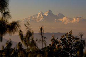 forest-walk-view-resort-at-terraces
